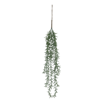 Fleur Hanging Plant