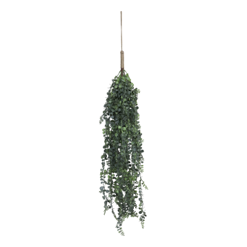 Fleur Hanging Plant