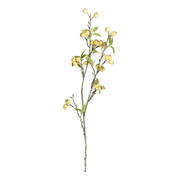 Fleur Branch w. sea buckthorn