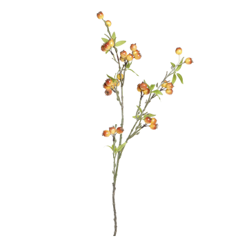 Fleur Branch w. sea buckthorn