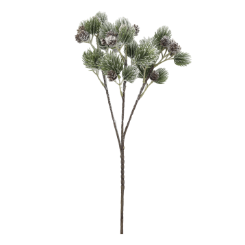 Fleur Branche avec des branches de cèdre et pommes de pin