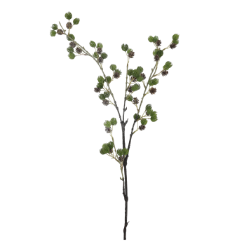 Fleur Branche avec sapin et pommes de pin