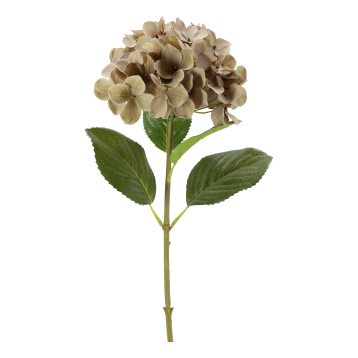 Fleur Hortensie Silk Touch