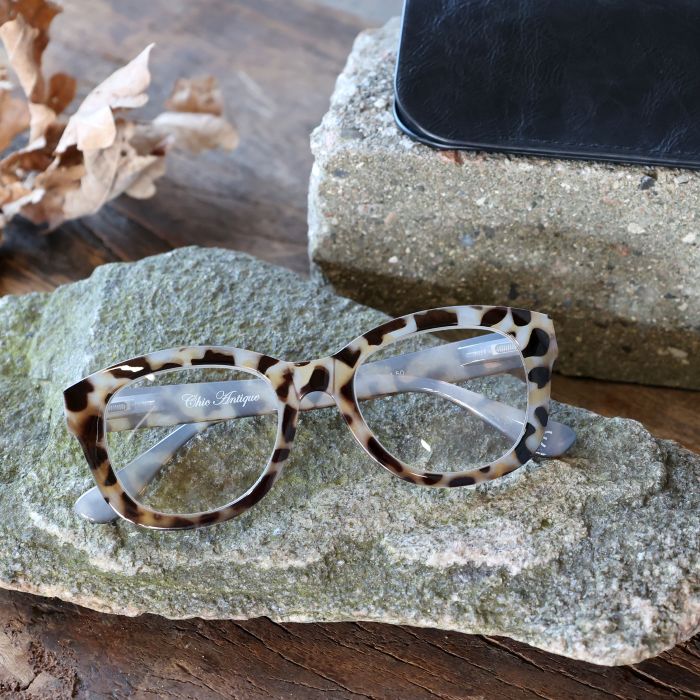 Lunettes de lecture avec motif léopard avec étui