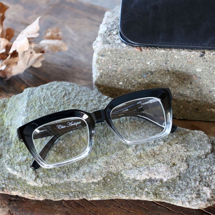 Lunettes de lecture avec étui