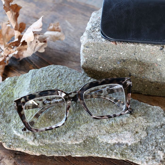 Lunettes de lecture avec motif léopard avec étui