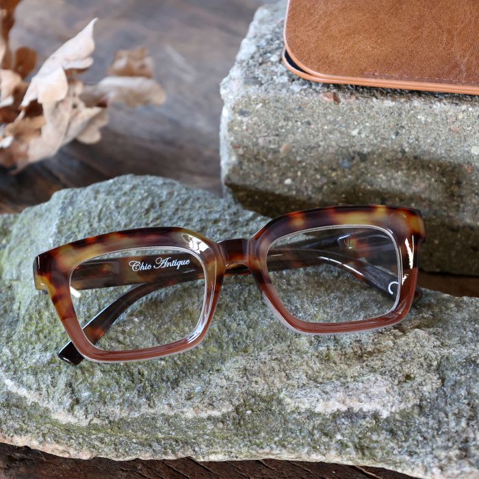 Lunettes de lecture avec motif léopard avec étui