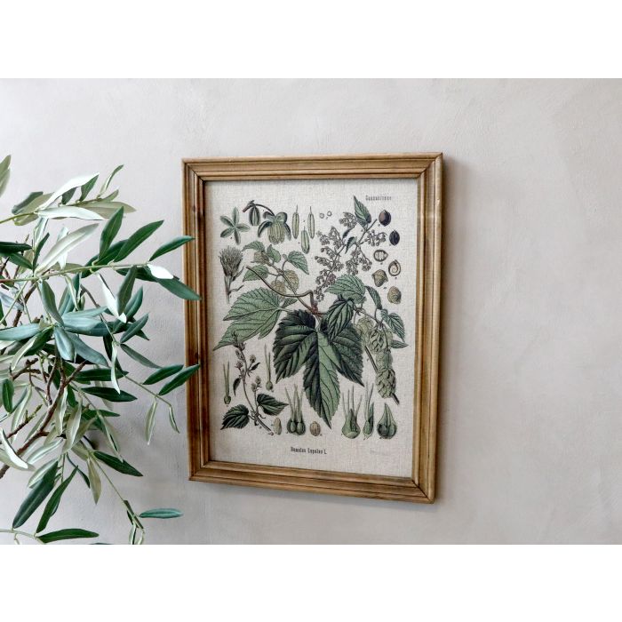 Billede m. blomstermotiv & natur ramme