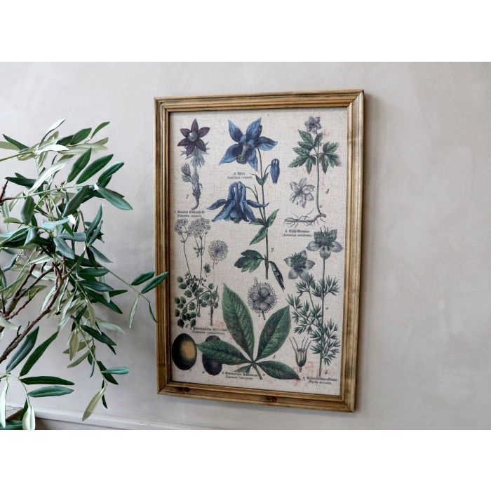 Billede m. plantemotiv & natur ramme