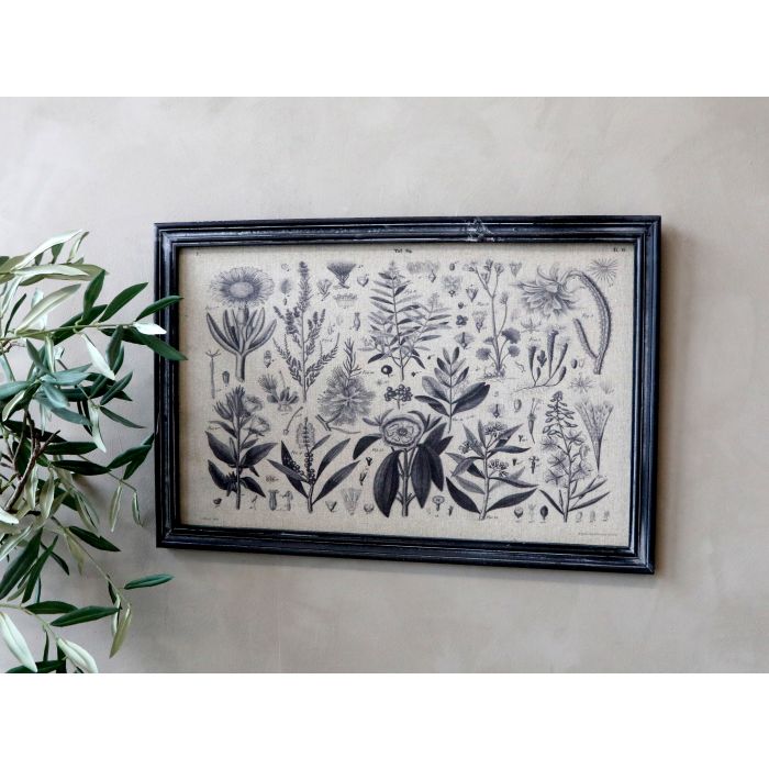 Billede m. plantemotiv & sort ramme