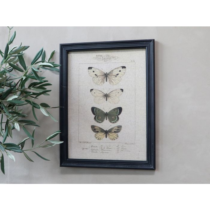 Billede m. sommerfuglemotiv & sort ramme