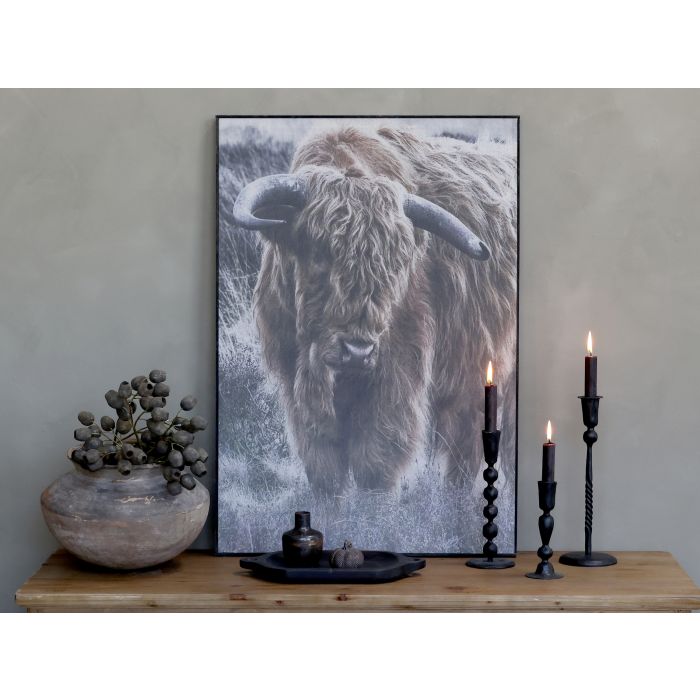 Picture w. ox & black frame