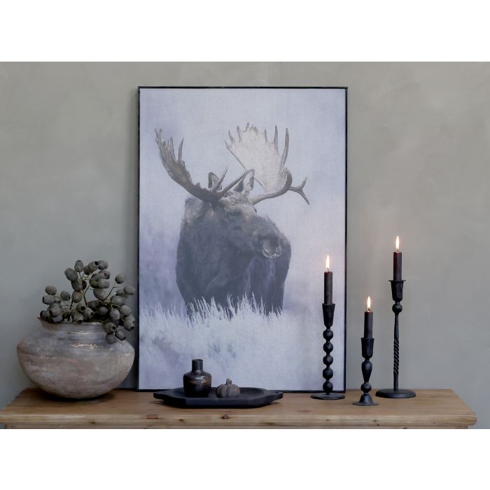 Billede m. elg og sort ramme