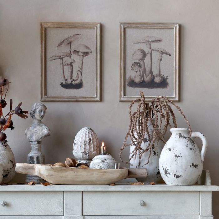 Image avec motif champignon et cadre naturel