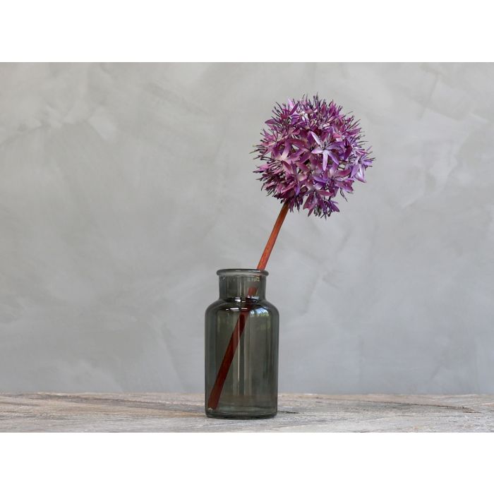 Fleur Allium