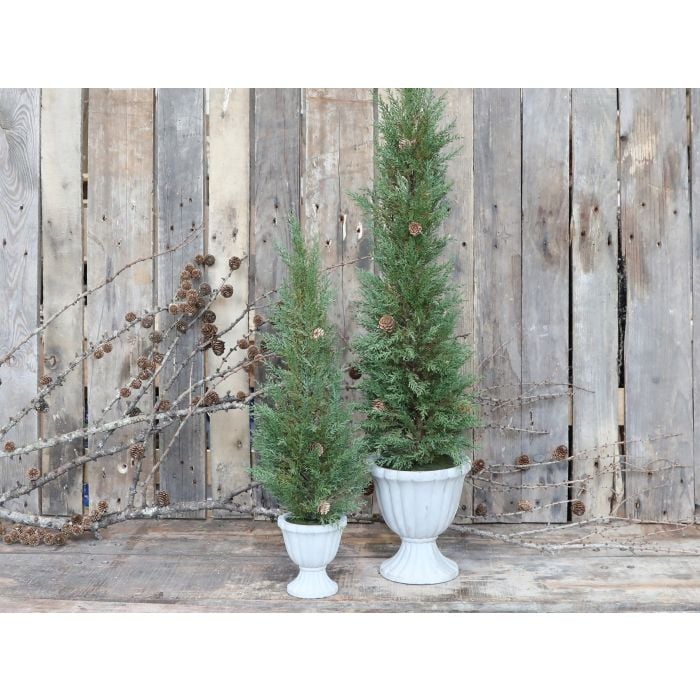 Fleur Grantræ m. skjuler