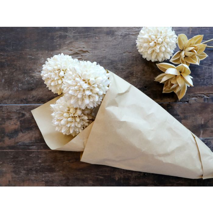 Fleur dried Snowball Flowers