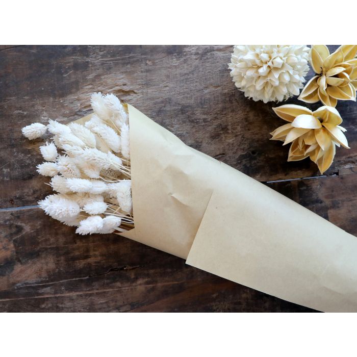 Fleur tørrede Phalaris Blomster