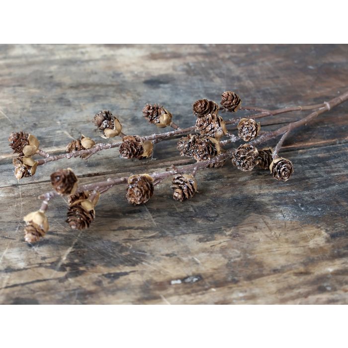Fleur Branch w. pine cones