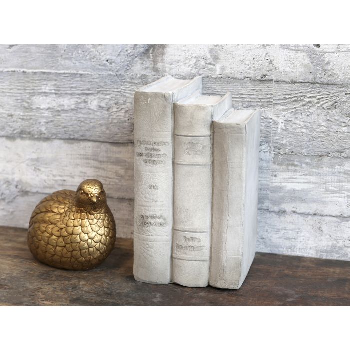 Old French Books for deco