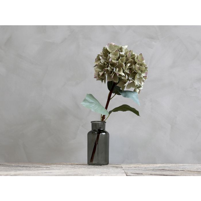 Fleur Hydrangea w. leaves