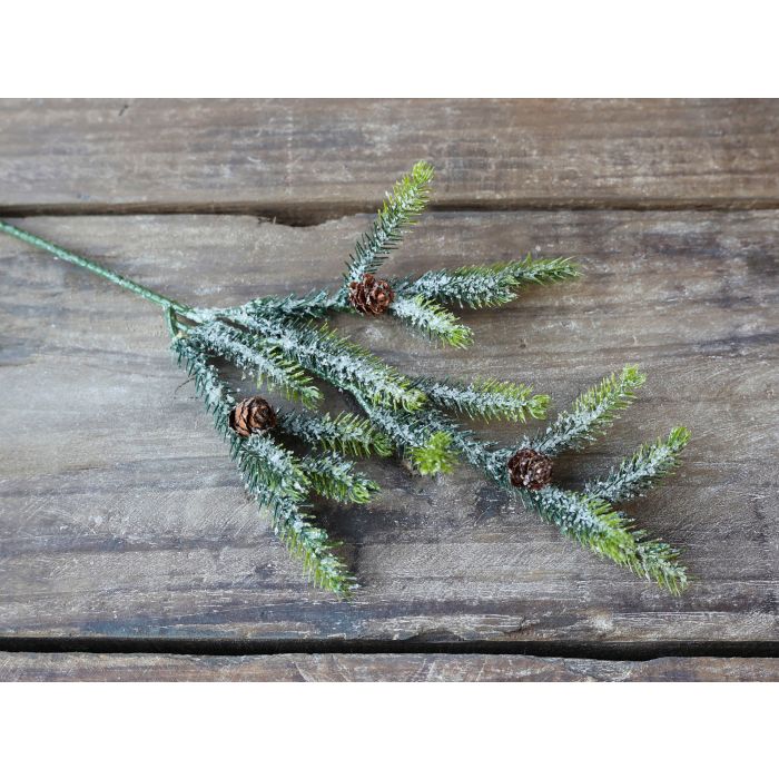 Fleur Grangren m. kogler og frost