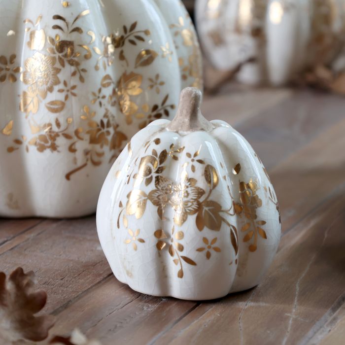 Anniversary Melun Kürbis