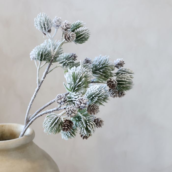 Fleur Zweig mit Zedernzweigen und Zapfen