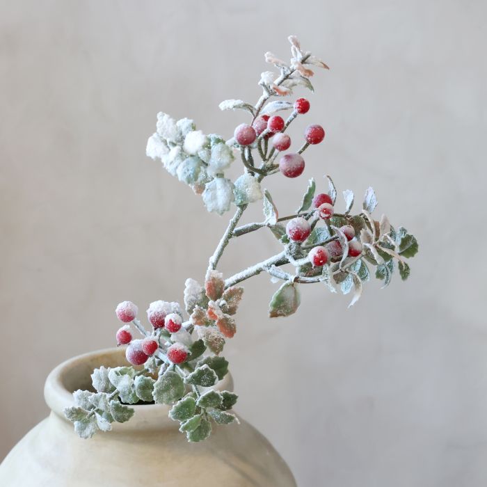 Fleur Branche avec des baies et des feuilles