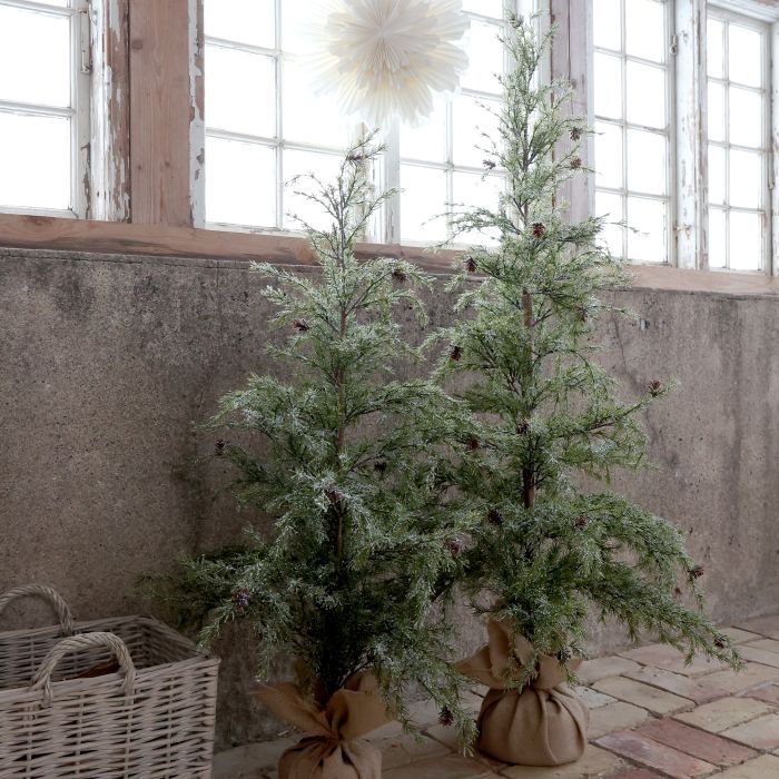 Fleur Grantræ m. kogler og sne