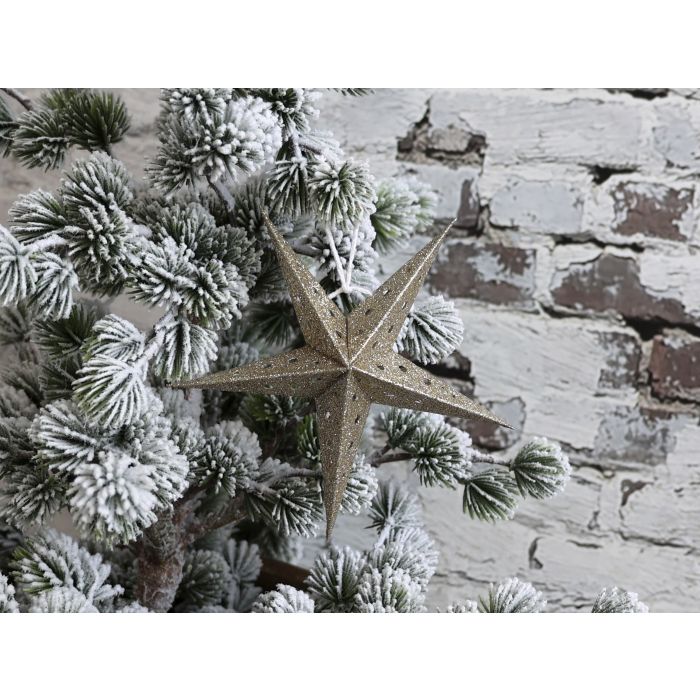 Vintage Papirstjerne