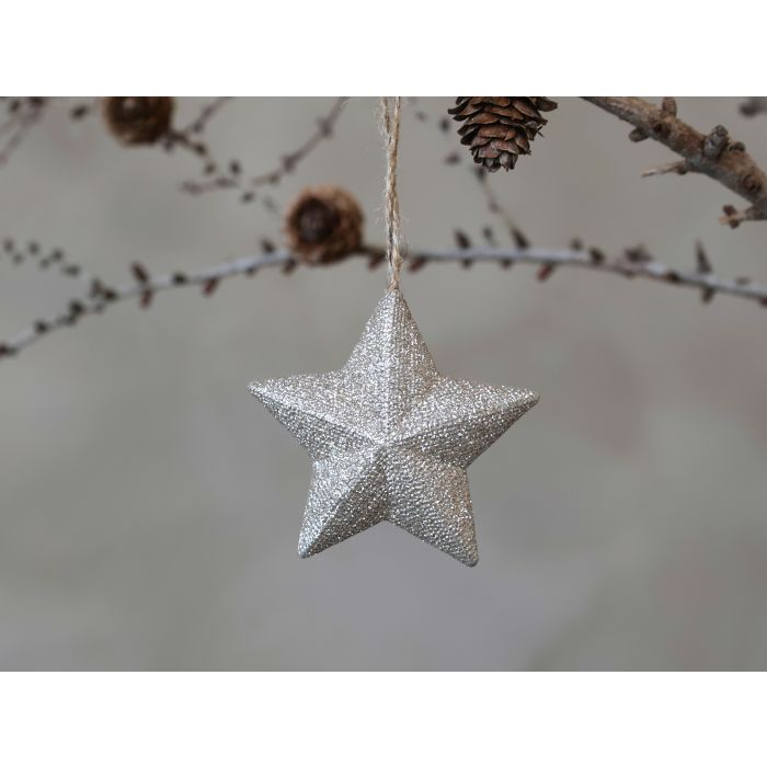 Star w. glitter