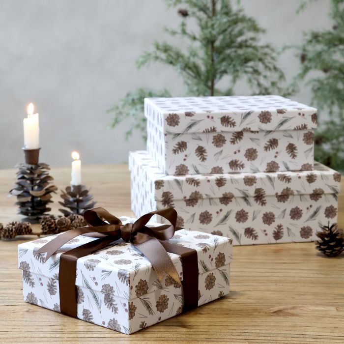 Box w. pine cones set of 3