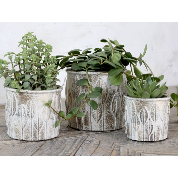 Vittel Skjuler m. guld mønster