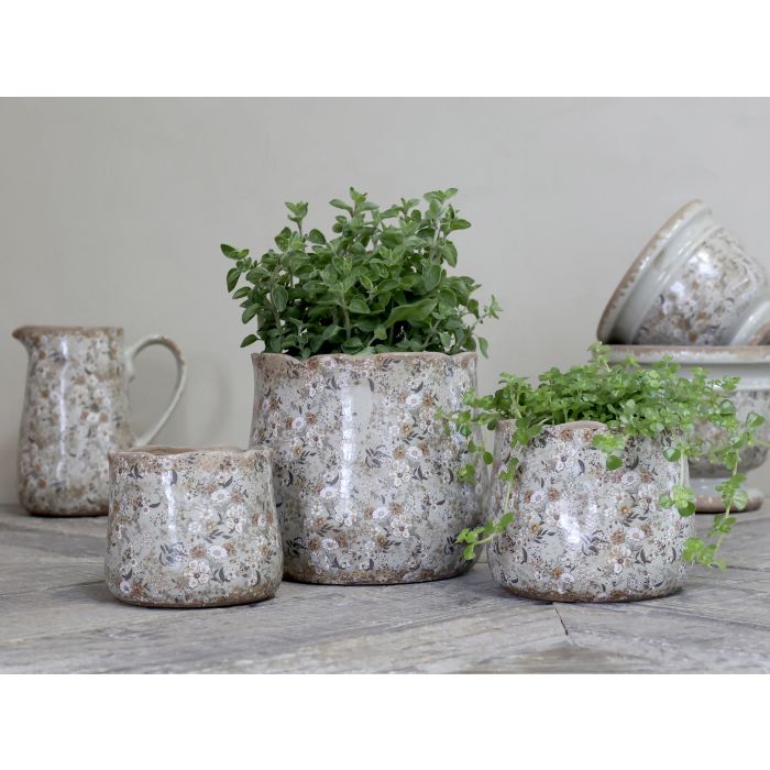 Evry Blumentopf mit Blumen