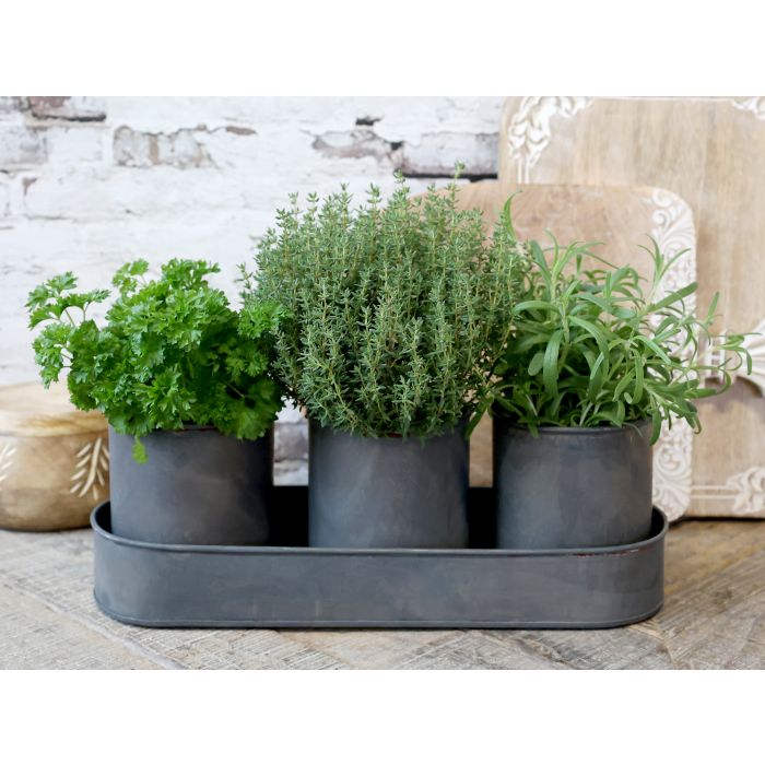 Tray w. 3 removable planters