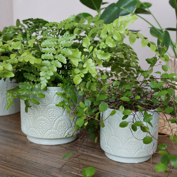 Fayence Cache-pot avec motif