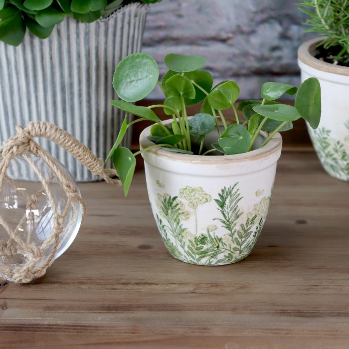 Laval Übertopf Blumendruck