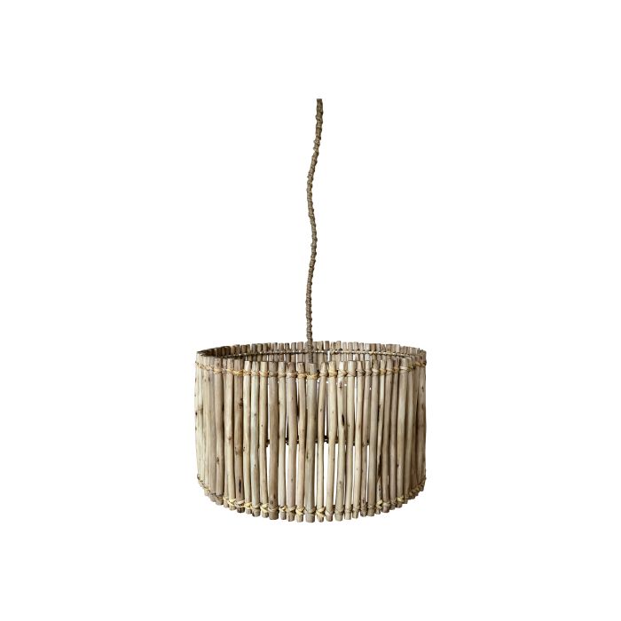 Lampe i eukalyptustræ