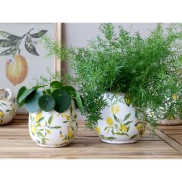 Limone Planter w. lemon motif