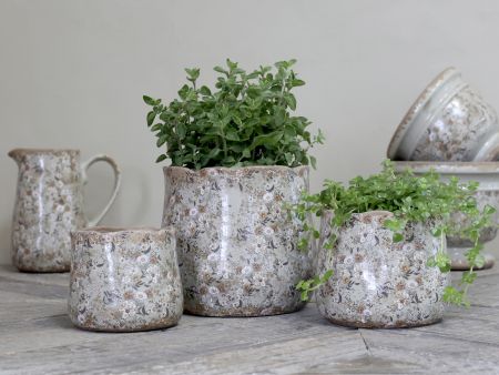 Evry Blumentopf mit Blumen